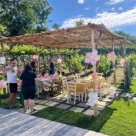 Bed and Breakfast Il Vigneto Di Nonno Pietro Agerola Exterior foto