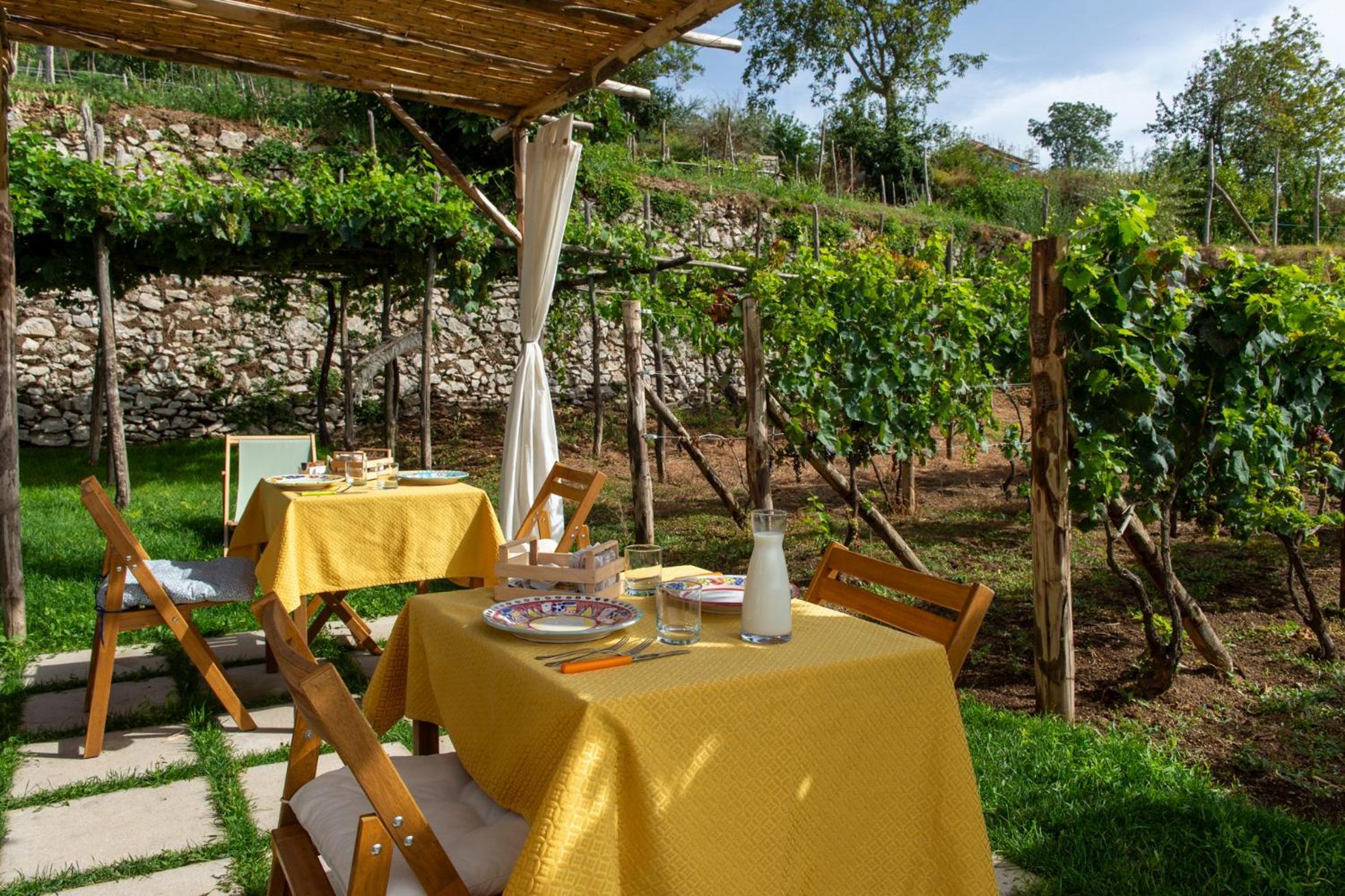 Bed and Breakfast Il Vigneto Di Nonno Pietro Agerola Exterior foto