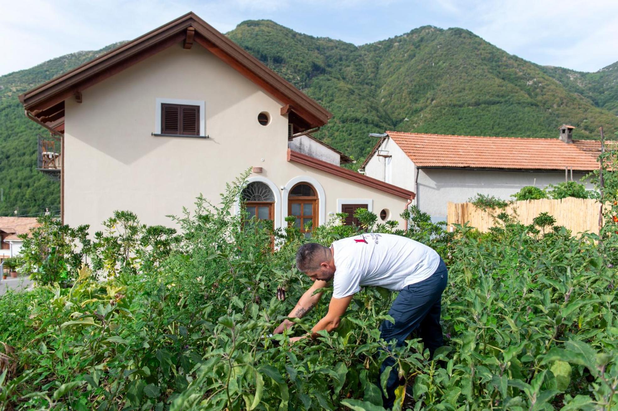 Bed and Breakfast Il Vigneto Di Nonno Pietro Agerola Exterior foto