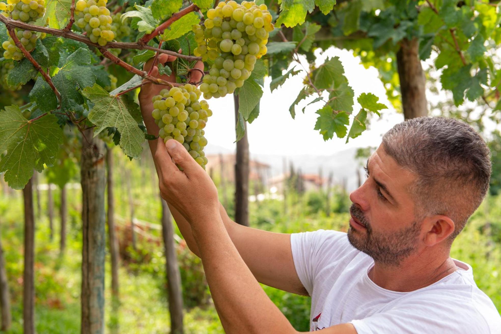 Bed and Breakfast Il Vigneto Di Nonno Pietro Agerola Exterior foto