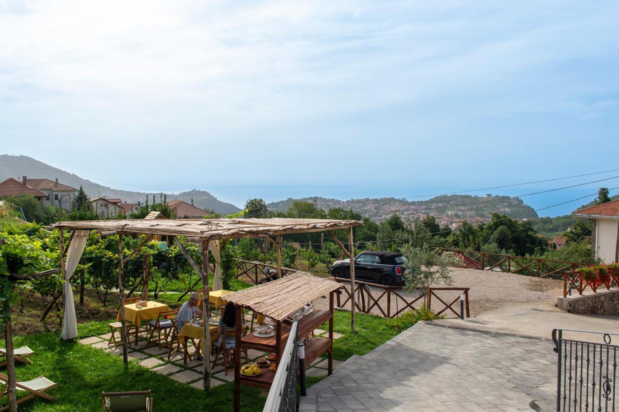 Bed and Breakfast Il Vigneto Di Nonno Pietro Agerola Exterior foto
