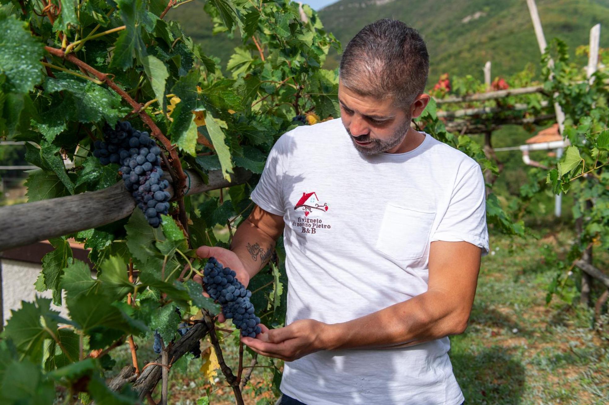 Bed and Breakfast Il Vigneto Di Nonno Pietro Agerola Exterior foto