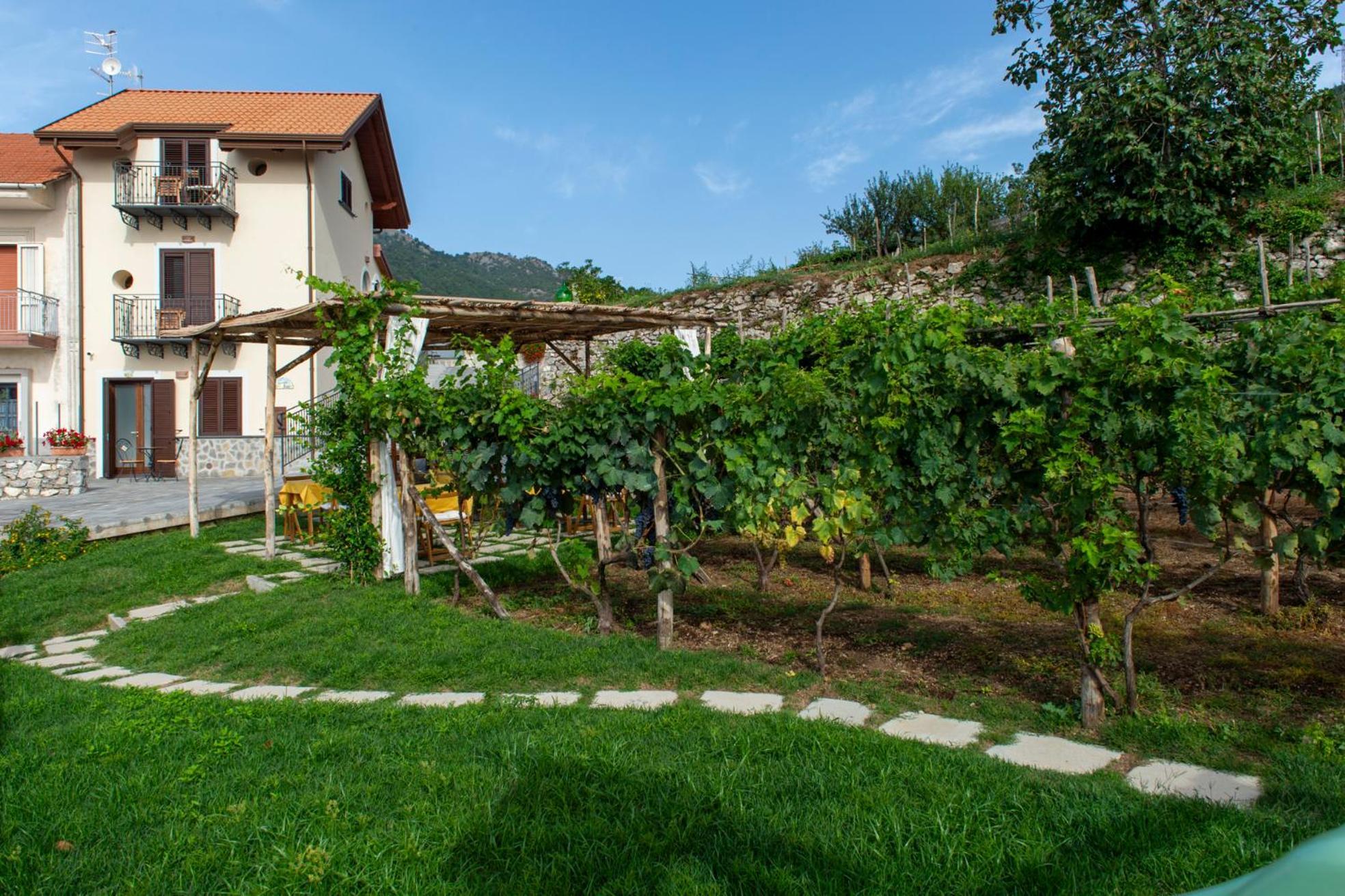 Bed and Breakfast Il Vigneto Di Nonno Pietro Agerola Exterior foto